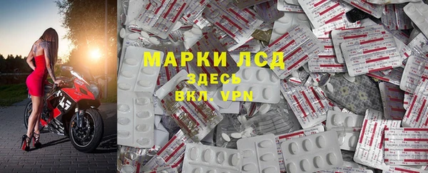 твердый Арсеньев