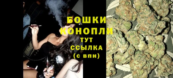 твердый Арсеньев