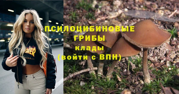 твердый Арсеньев