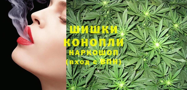 СК Аркадак