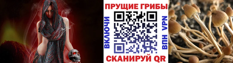 Галлюциногенные грибы ЛСД  где продают наркотики  дарк нет наркотические препараты  Белёв  ссылка на мегу  